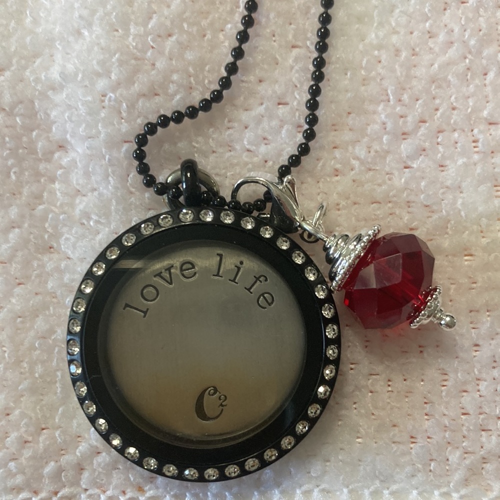 Charms/Plates - Picture 3 of 10